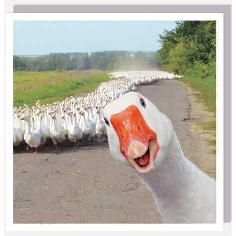 1000 Words Card Goose!