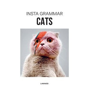 Insta Grammar: Cats