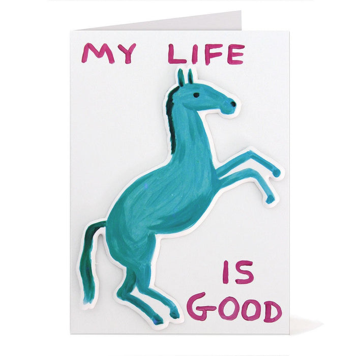 Shrigley - My Life Is Good Card