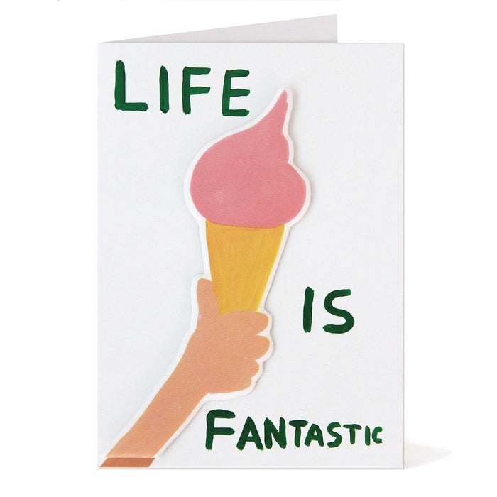 Shrigley - Life Is Fantastic Card