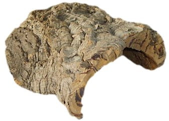 Javis Large Cork Bark