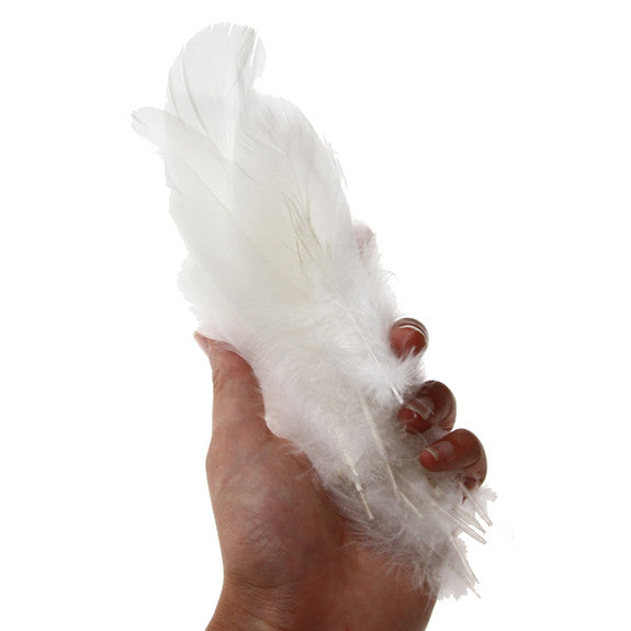 Feather Leaves Nat White12 Pk