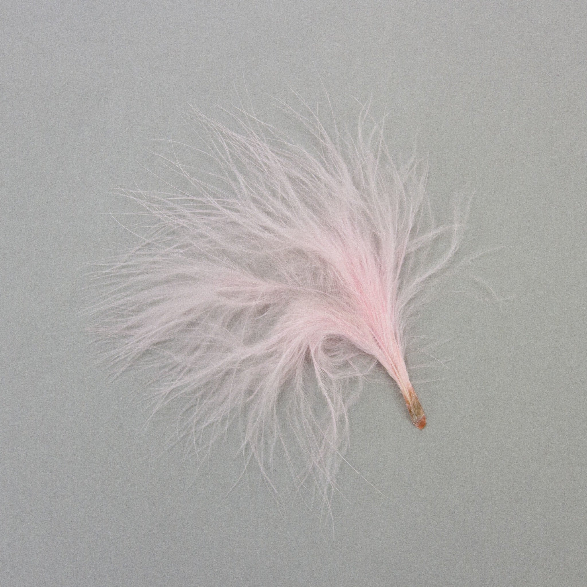 Marabou Feathers