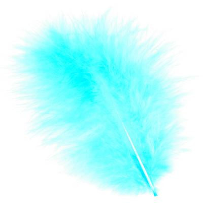 Marabou Feathers