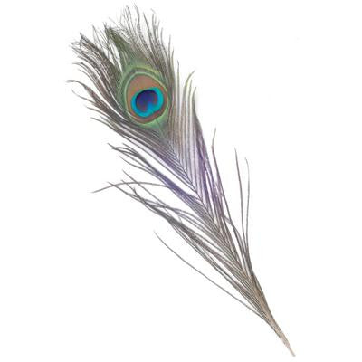 Peacock Feathers 25-30cm 3 Pk