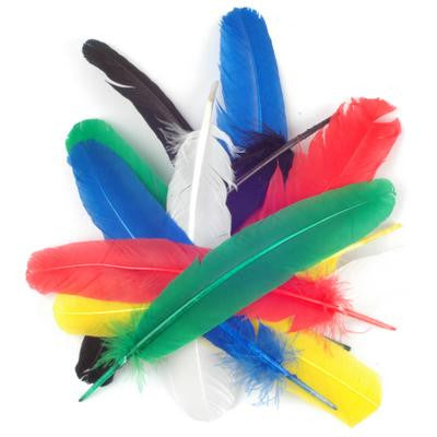 Quill Feathers 12 Pk