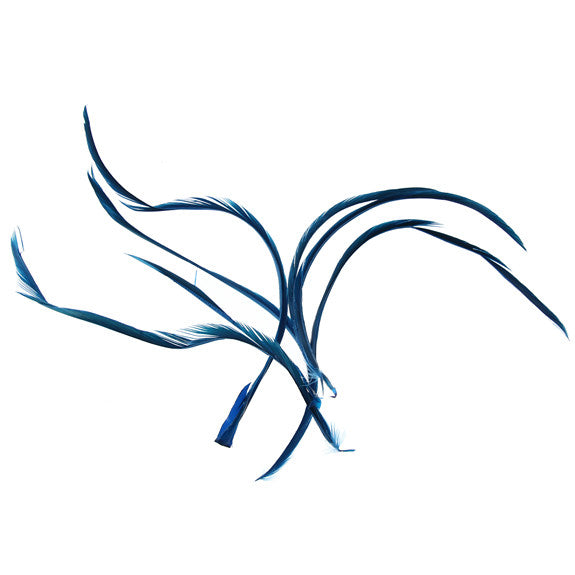 Feather Biots 6 Pk