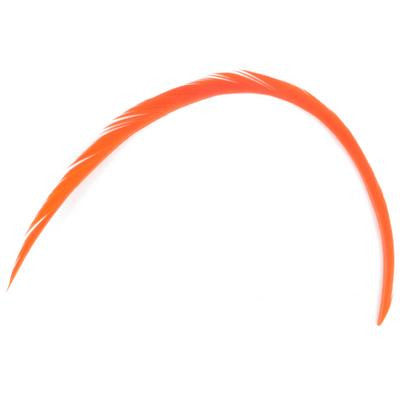Feather Biots 6 Pk