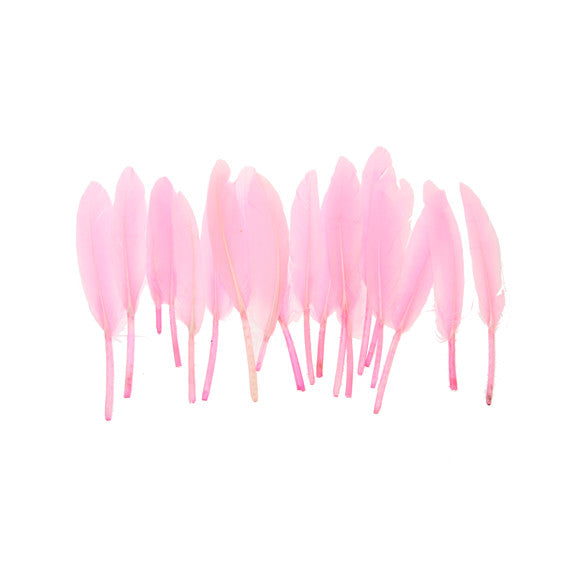 Small Quill Feathers