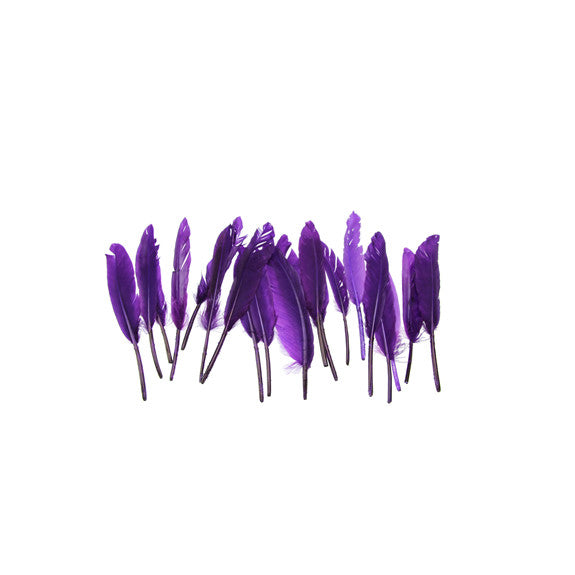 Small Quill Feathers