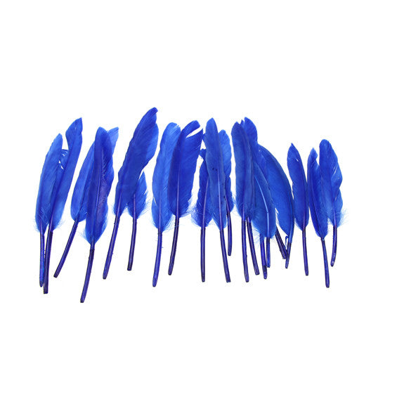 Small Quill Feathers