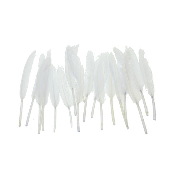 Small Quill Feathers