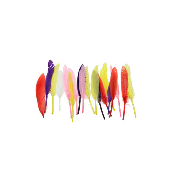 Small Quill Feathers