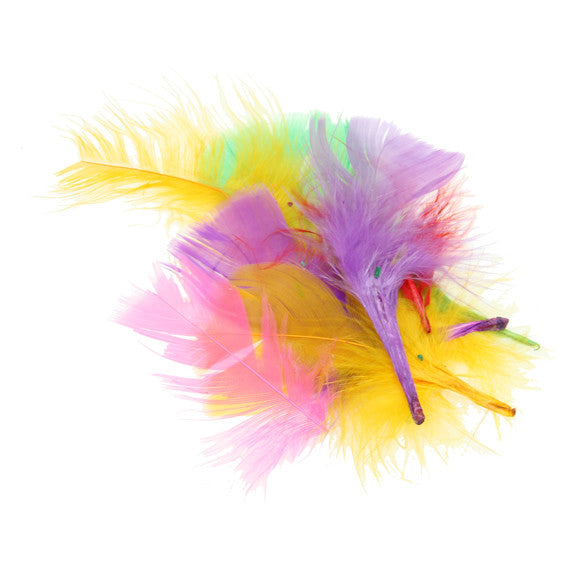 Coloured Feathers - 14g