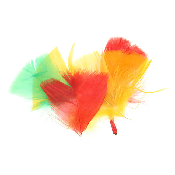 Coloured Feathers - Assorted Colours 28g