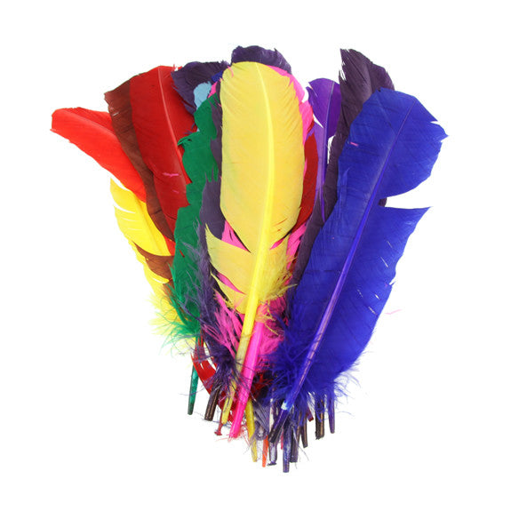 Indian Quill Feathers - 25 Pack