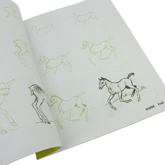Draw 50 Baby Animals by Lee J. Ames