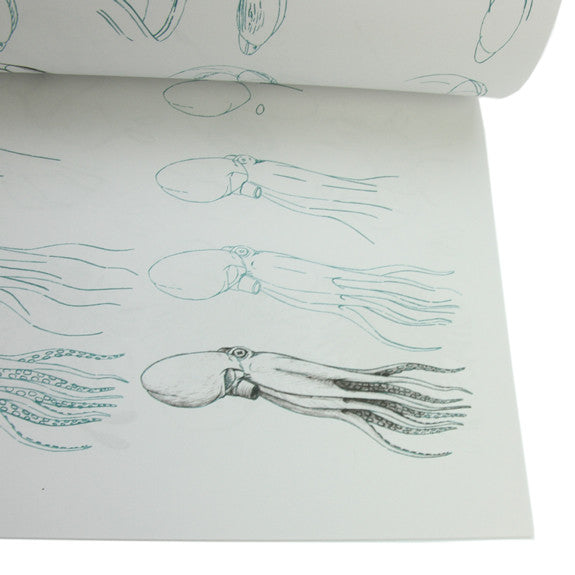 Draw 50 Sharks, Whales and Other Sea Creatures