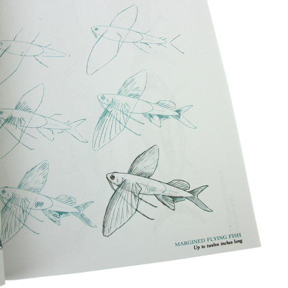 Draw 50 Sharks, Whales and Other Sea Creatures by Lee J. Ames