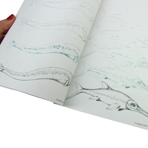 Draw 50 Sharks, Whales and Other Sea Creatures