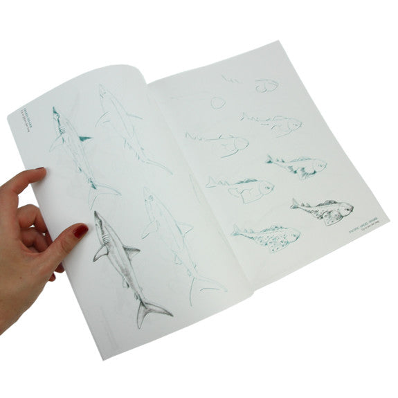 Draw 50 Sharks, Whales and Other Sea Creatures