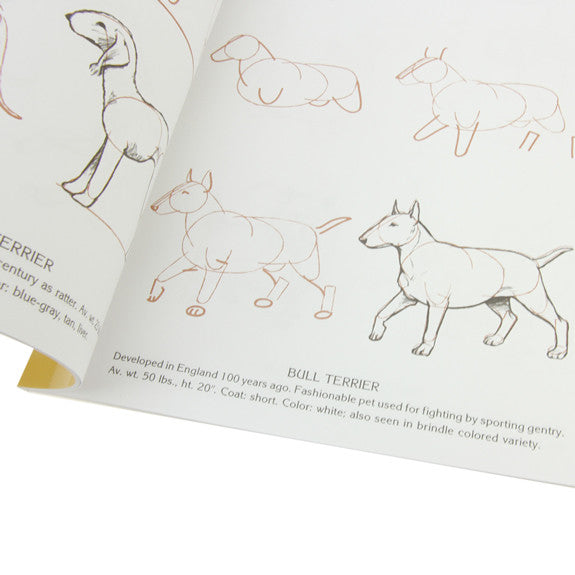 Draw 50 Dogs by Lee J. Ames