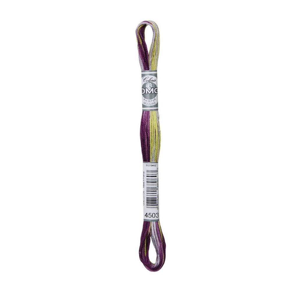 DMC - Stranded Cotton - Mouline Coloris