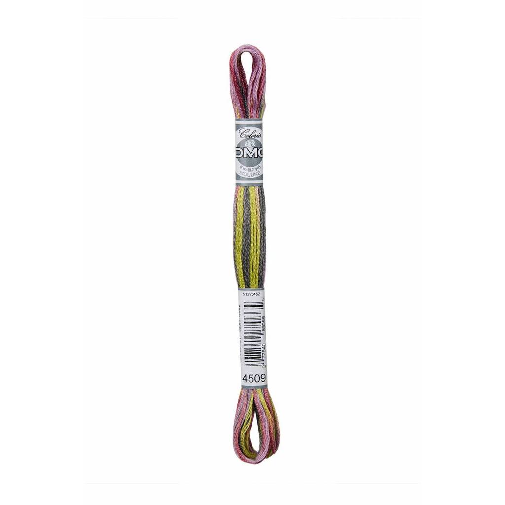 DMC - Stranded Cotton - Mouline Coloris