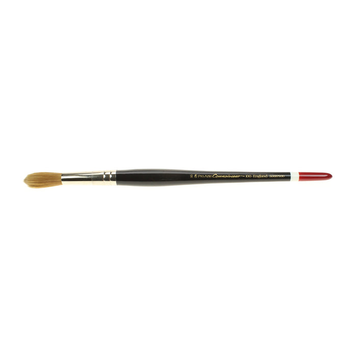 Pro Arte - Series 100 - Round Watercolour Brushes