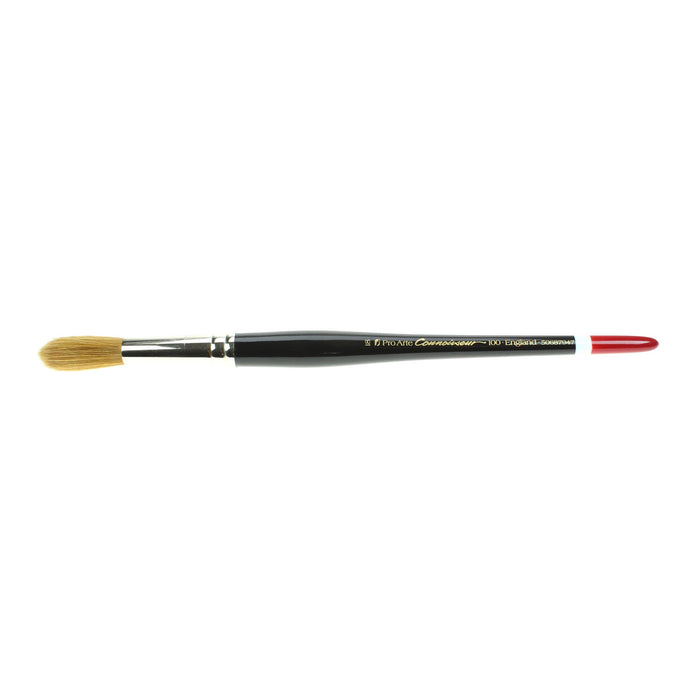 Pro Arte - Series 100 - Round Watercolour Brushes