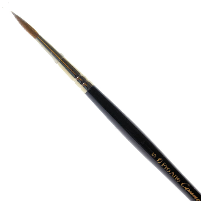 Pro Arte - Series 100 - Round Watercolour Brushes
