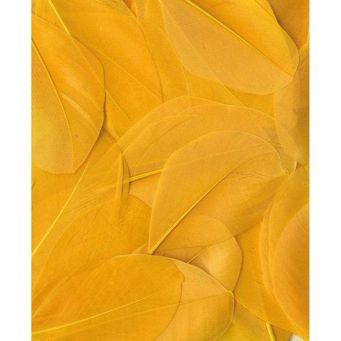 Artemio Feathers 3g Yellow