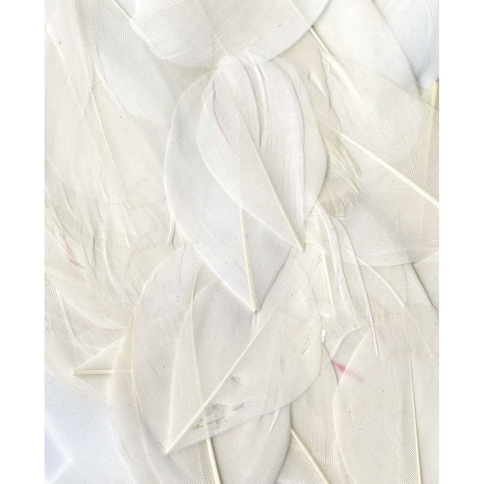 Artemio Feathers 3g White