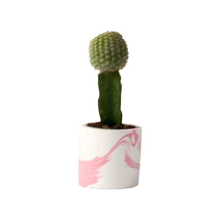 Pink Marble Plant Pot