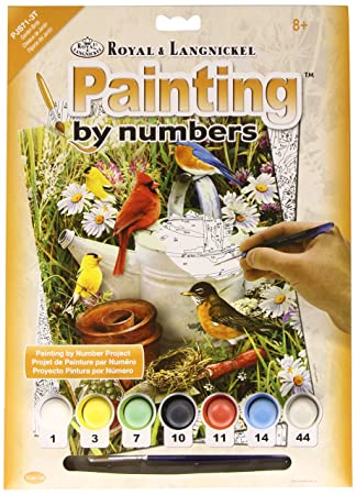 Paint By Numbers Garden Birds