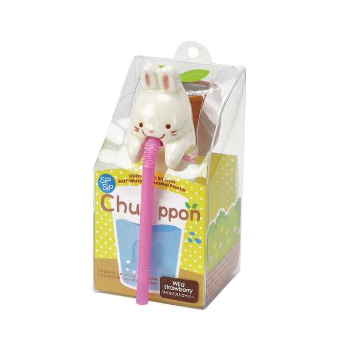 Chuppon Drinking Animal Planter - Rabbit / Wild Strawberry
