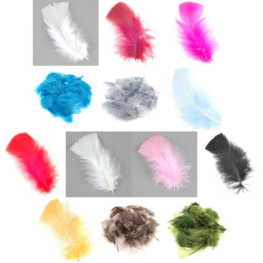 Feathers