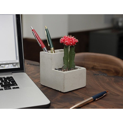 Planter And Pen Holder Small