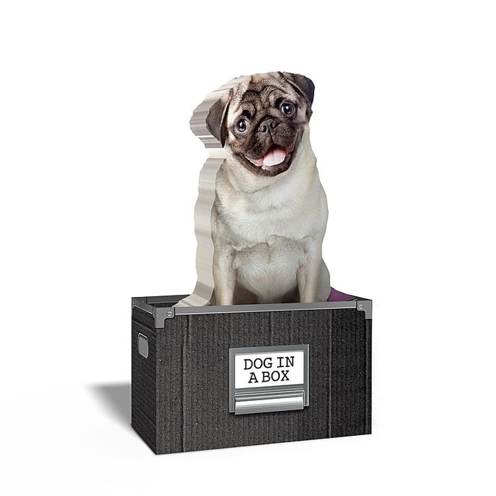 Dog in a Box Dog Shaped Sticky Notes (150 sheets)