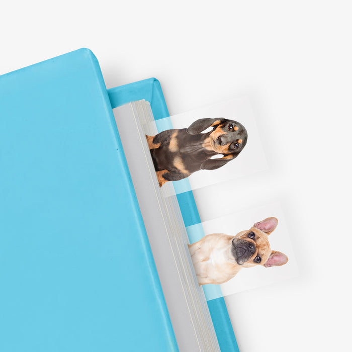 Dog in a Book Page Markers