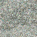 Rico Hologram Glitter 17g Silver