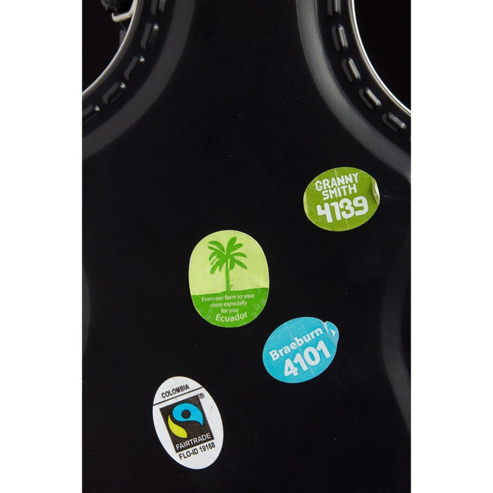 Guitar Case Lunch Box