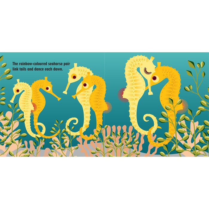 Mibo: The Marine Team - Hardback Activity Edition