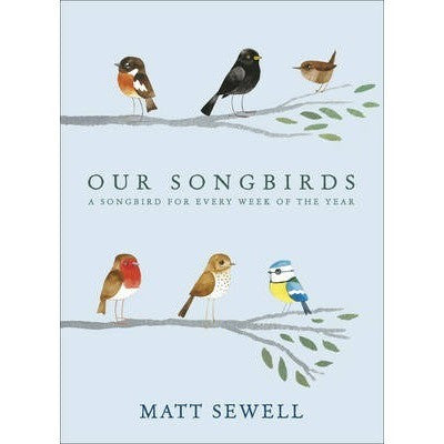 Our Song Birds