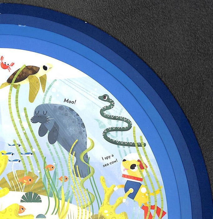 Explore Under The Sea