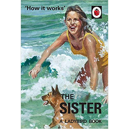 How It Works: The Sister (Ladybird For Grown Ups)