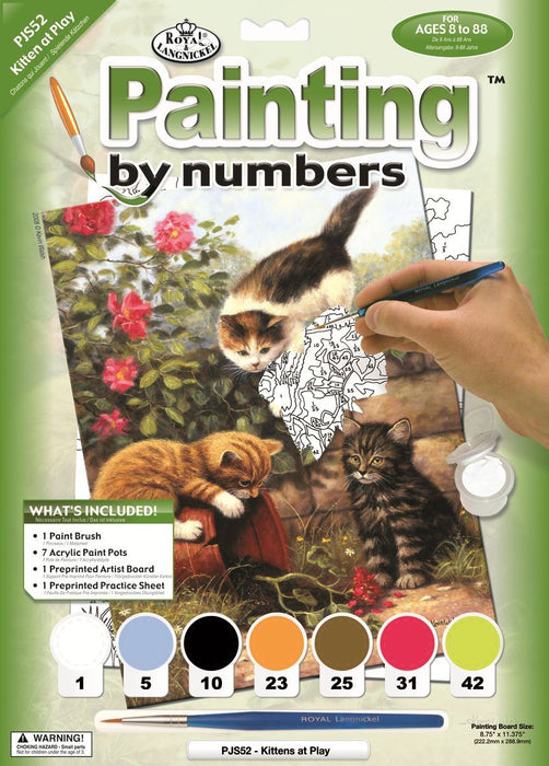 Paint By Numbers Junior Sm Kittens At Play