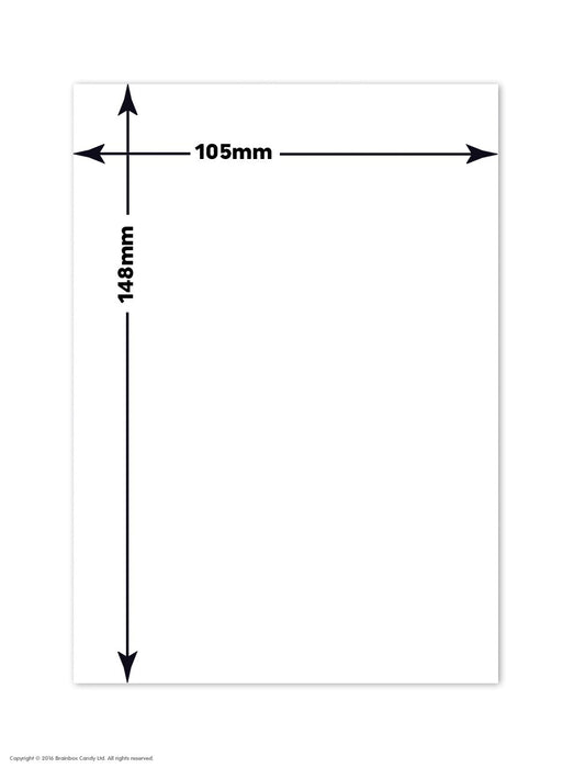 David Shrigley A6 Notebook – I Love People