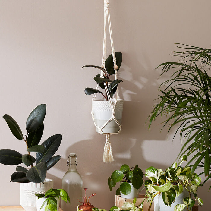 Hang Time DIY Macrame Plant Pot Hanger