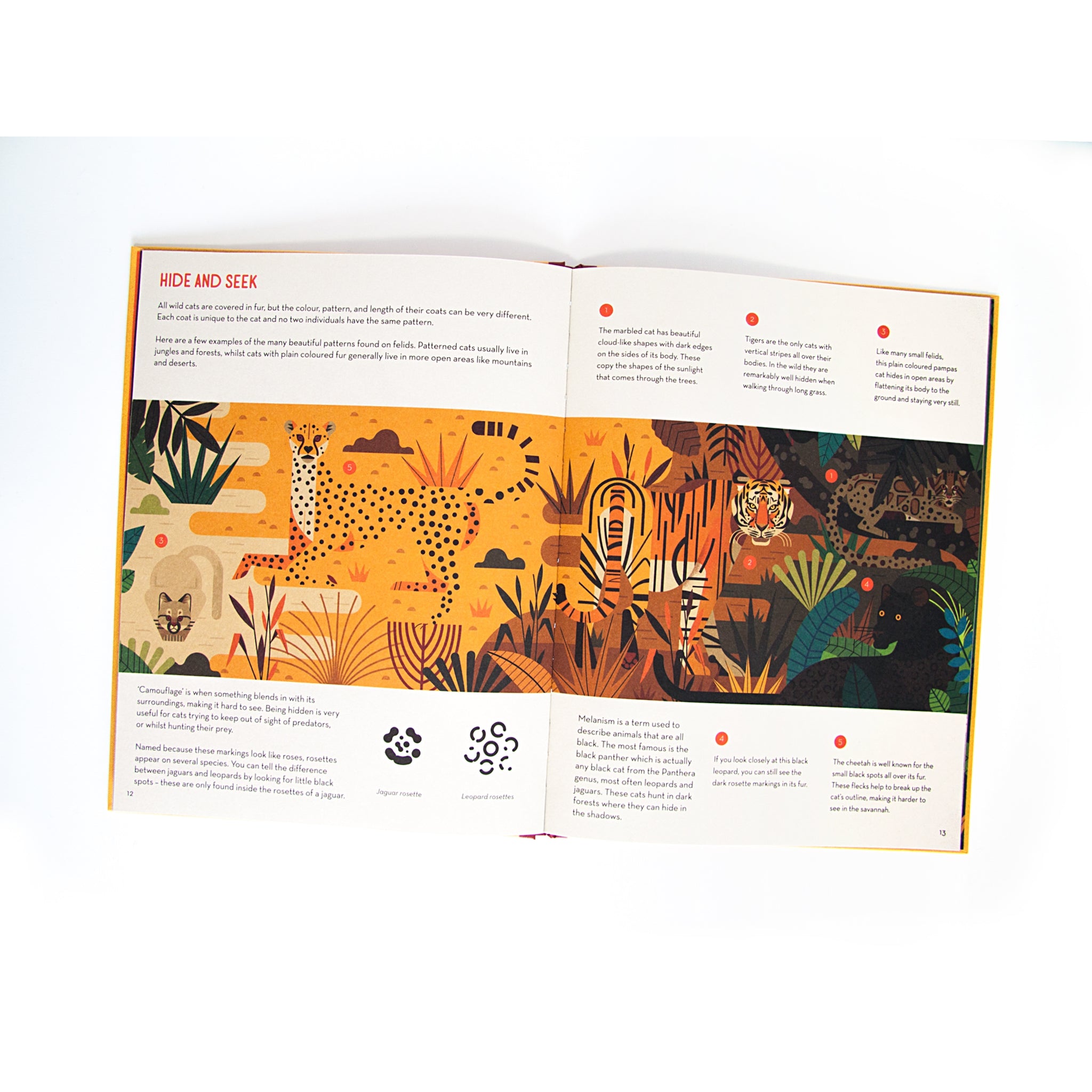 Inside pages of the book